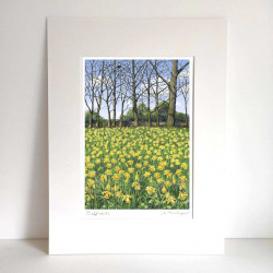 Giclée Print (A4) - Golden Daffodils (mounted) *NEW*