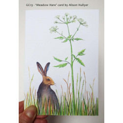'Meadow Hare' greetings card 
