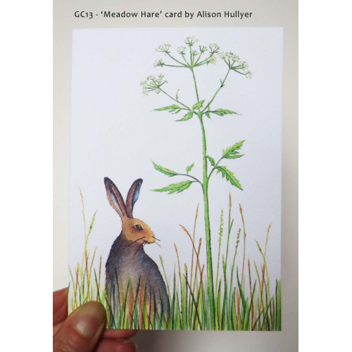 'Meadow Hare' greetings card 