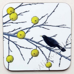2. Coaster - Rich Pickings (blackbird)
