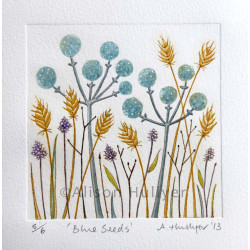 Drypoint - Blue Seeds (sold out) Drypoint - Blue Seeds (sold out)