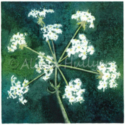 Collograph Print - Cow Parsley Collograph Print - Cow Parsley